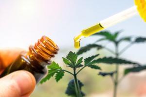 CBD For Sinusitis